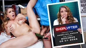 Shoplyfter – the thief (new model)